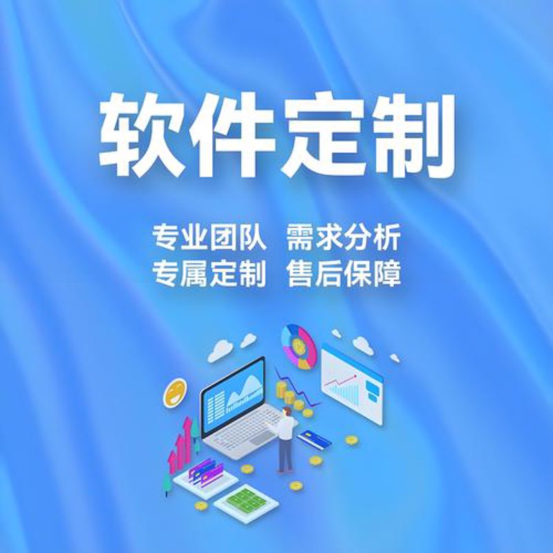 企业数字化转型背后的秘密武器:系统定制开发